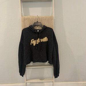 Dark Gray Fayetteville Hoodie Crop